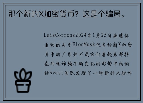 那个新的X加密货币？这是个骗局。